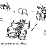 Ivy ligature binding