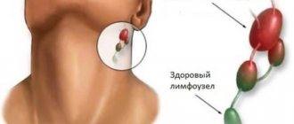 The lymph nodes