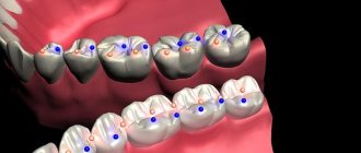 Fundamentals of occlusion and biomechanics of the jaws: a new look at old concepts