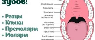 Teeth arrangement