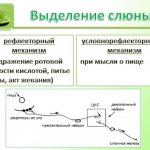 Composition of human saliva: normal indicators of biological fluid