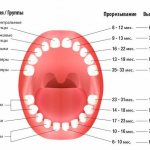 timing of tooth loss